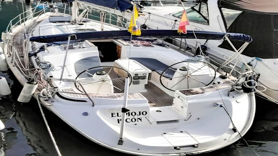 Whale and Dolphin Watching Sailing Tour – Los Gigantes (3H) - Cold tapas, fruit, and drinks on the way back