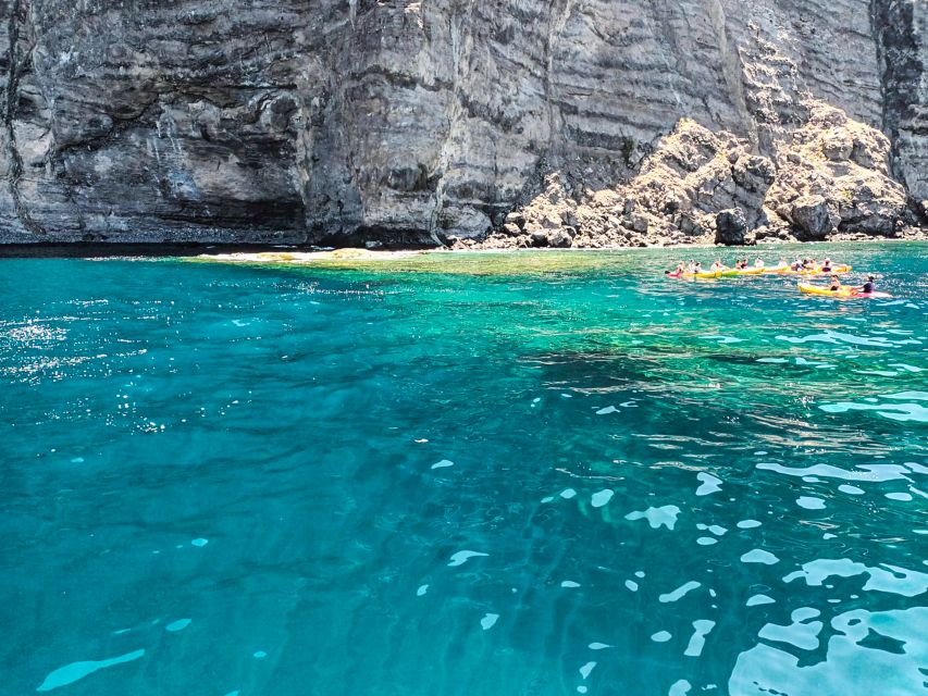 Whale and Dolphin Watching Sailing Tour – Los Gigantes (3H) - Is $76 good value for three hours?