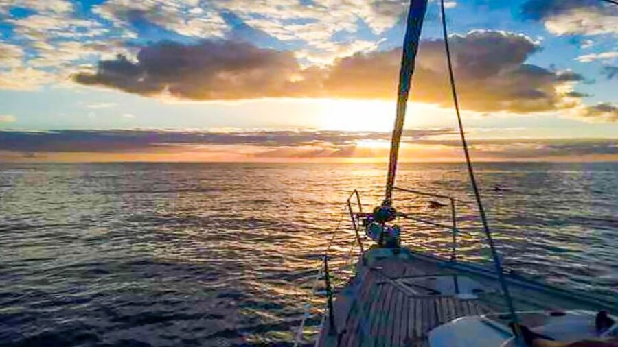 Whale and Dolphin Watching Sailing Tour – Los Gigantes (3H) - Who should book this experience?