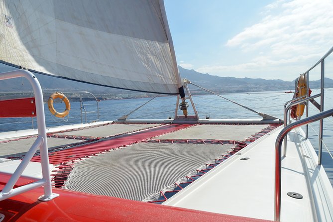 Whale watching and listening Eco-Catamaran Tour with Food Tasting - Key points to know before booking
