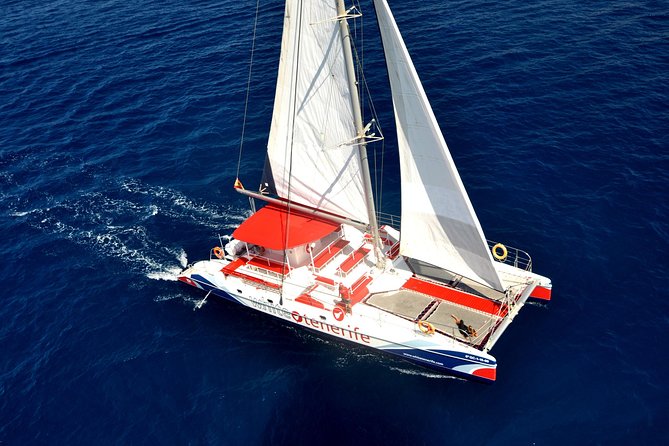 Whale watching and listening Eco-Catamaran Tour with Food Tasting - Setting out from Puerto Colón