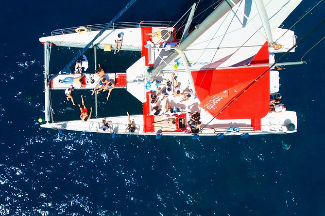 Whale watching and listening Eco-Catamaran Tour with Food Tasting - How comfortable is a catamaran for 64 people?