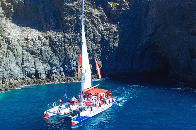 Whale watching and listening Eco-Catamaran Tour with Food Tasting - Who will enjoy this Tenerife boat trip?