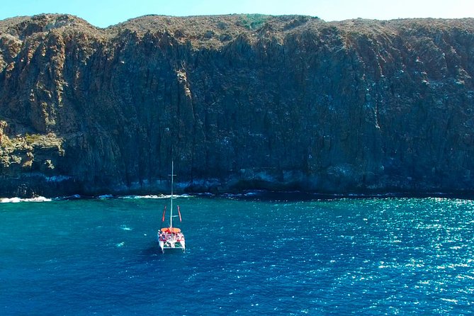 Whale watching and listening Eco-Catamaran Tour with Food Tasting - Watching whales and dolphins off Tenerife