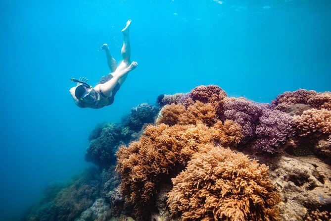 Whitehaven Beach and Hill Inlet Lookout Snorkeling Cruise - Key points at a glance