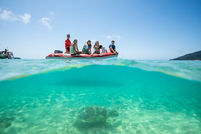 Whitehaven Beach and Hill Inlet Lookout Snorkeling Cruise - Who should book this cruise?